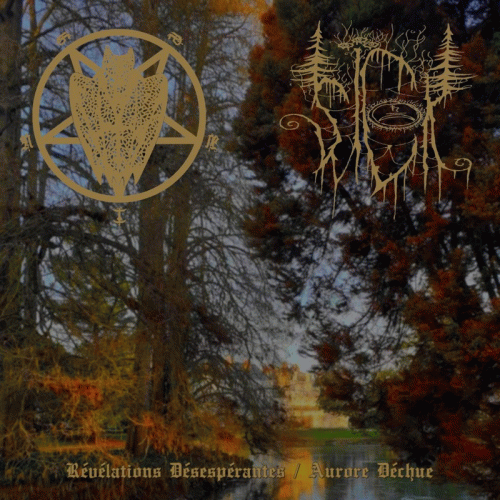 Néant (FRA) : Révélations Désespérantes - Aurore Déchue